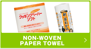 NON-WOVEN PAPER TOWEL